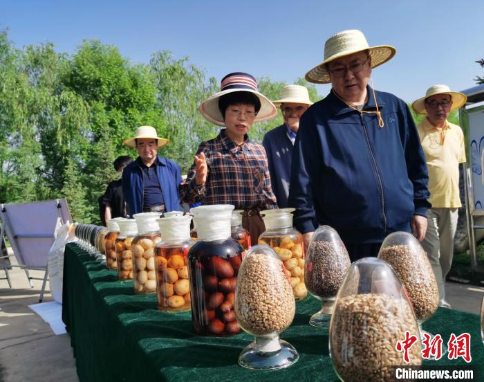 青海：利用冷涼氣候，打造高原綠色種業(yè)輸出地