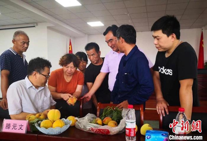 民進(jìn)浙江省委會為三里橋黃桃種植戶送技術(shù)、送指導(dǎo)?！〖紊平y(tǒng)戰(zhàn) 供圖