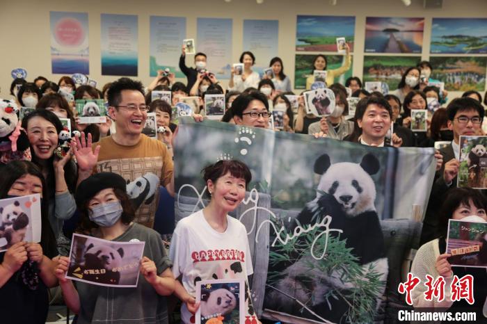 由中國駐東京旅游辦事處和東京中國文化中心共同主辦的大熊貓“香香”生日會在日本東京舉辦 蔣文月 攝