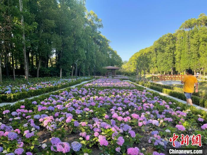 納民意、匯民智上海努力讓“公園城市”建設(shè)真正“合民心”