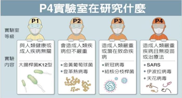 P4實驗室在研究什么。臺灣聯(lián)合新聞網(wǎng)資料圖