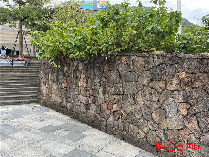 深圳大鵬半島國家地質(zhì)公園入口處的火山巖墻。人民網(wǎng)記者 陳思攝