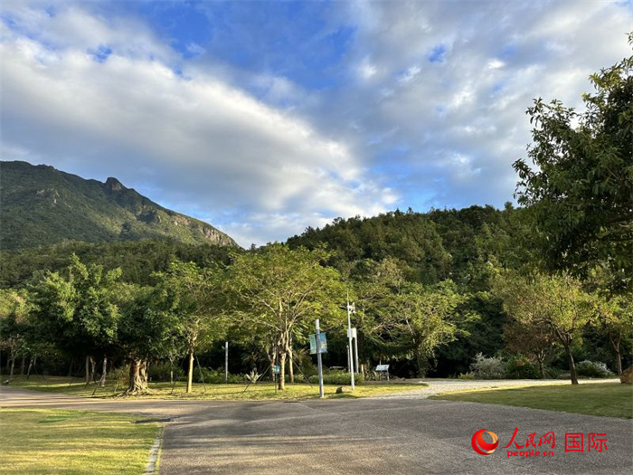 深圳大鵬半島國家地質(zhì)公園自然資源豐富，園區(qū)森林覆蓋率高達(dá)98%。人民網(wǎng)記者 周雨攝