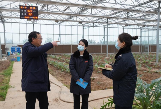 稅務(wù)干部走進常德市西洞庭管理區(qū)的朝鮮薊種植基地，宣傳稅費優(yōu)惠政策，助力農(nóng)企搶農(nóng)時、抓春耕、穩(wěn)增長。吳家豪攝