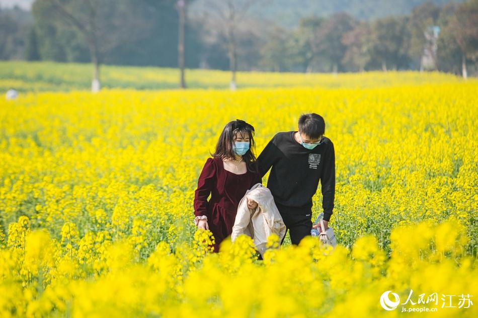 游客觀花賞景。劉列攝