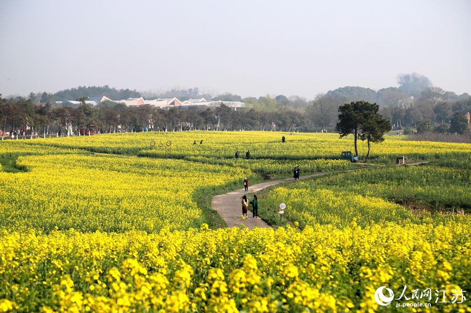 游客觀花賞景。高曉平攝