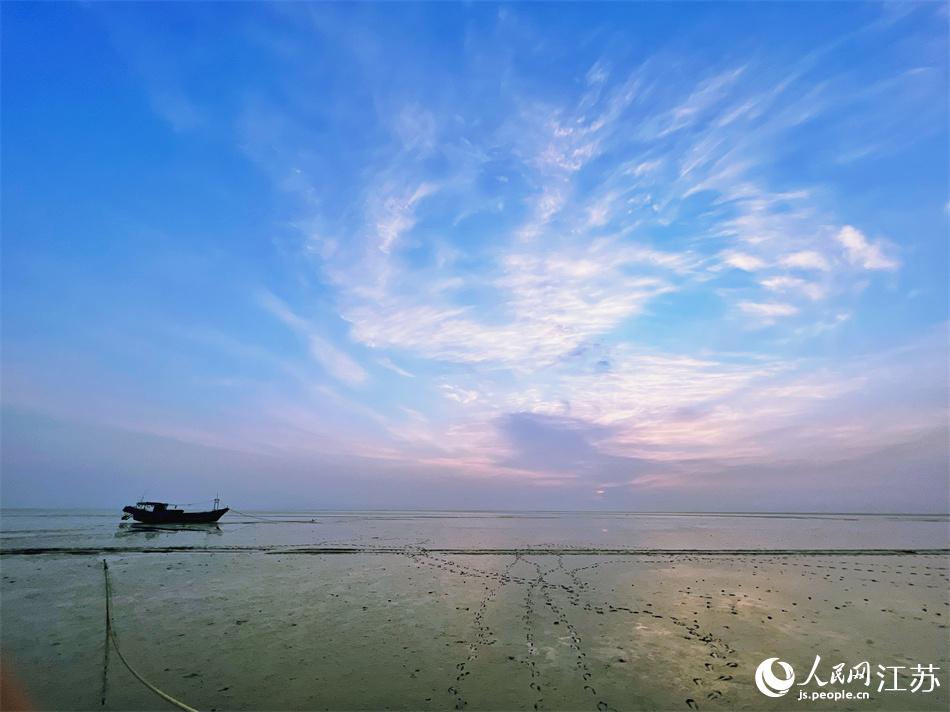 作為黃海濕地的一部分， 東臺(tái)條子泥是多種瀕危鳥類遷徙期的棲息地。人民網(wǎng) 馬燾燾攝