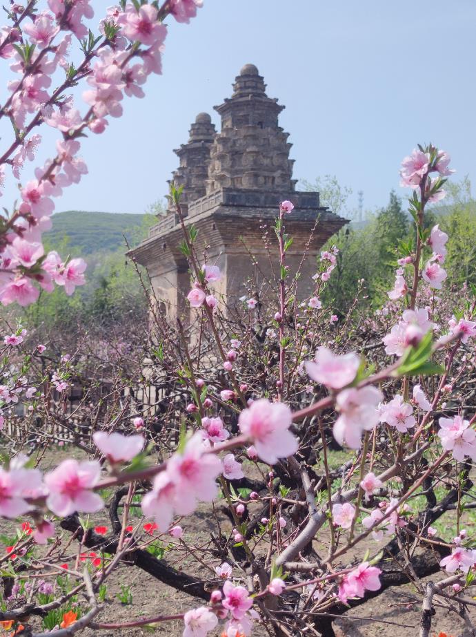 太原晉源區(qū)各大景區(qū)景點(diǎn)陸續(xù)恢復(fù)開放【2】