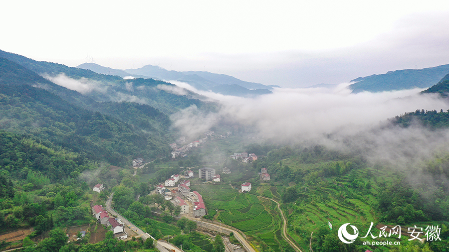 雨后的金寨大灣村，云霧環(huán)繞，宛如一幅田園山水畫卷。人民網(wǎng) 張俊攝