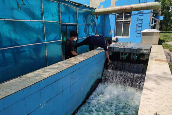 邯鄲市雞澤縣藍(lán)天污水處理廠員工正在出水口進(jìn)行水質(zhì)檢測。鄭佳欣攝