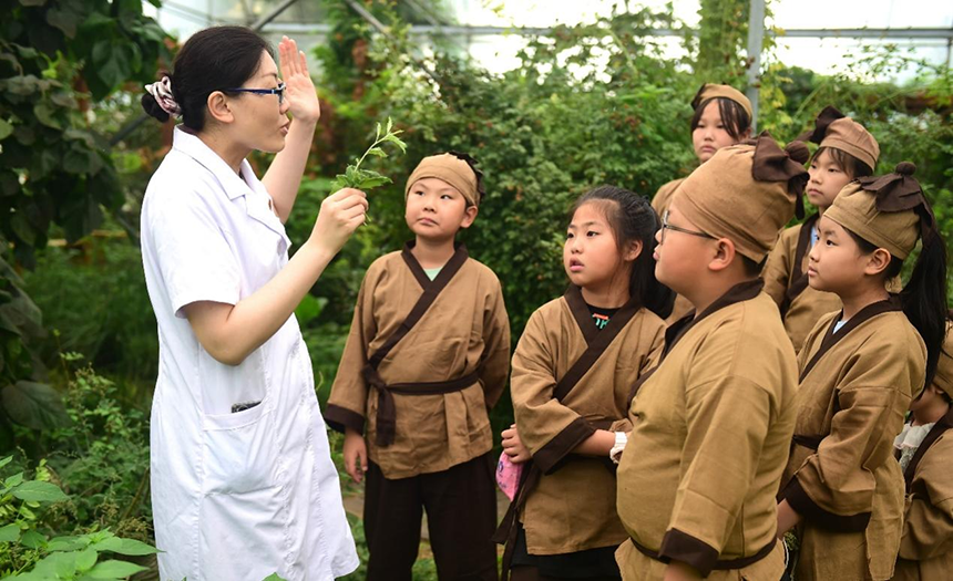 參加活動的孩子聆聽滄州市人民醫(yī)院國醫(yī)館中醫(yī)對中藥材的講解。 傅新春攝