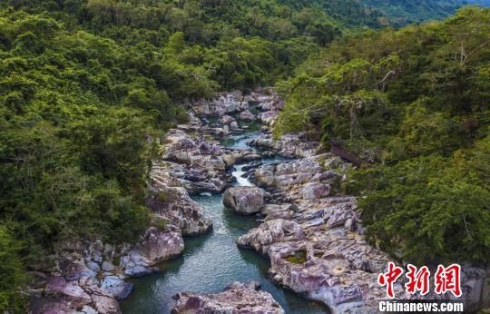 2018年海南生態(tài)環(huán)境狀況等級為“優(yōu)”，植被覆蓋率高，生物多樣性豐富，生態(tài)系統(tǒng)穩(wěn)定，圖為海南中部熱帶雨林?！●樤骑w　攝