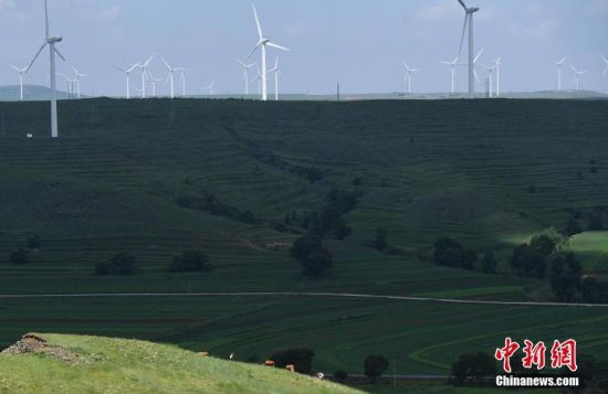 6月28日，河北張家口張北草原上大片風(fēng)力發(fā)電的“風(fēng)車”規(guī)模宏大。 中新社記者 楊艷敏 攝