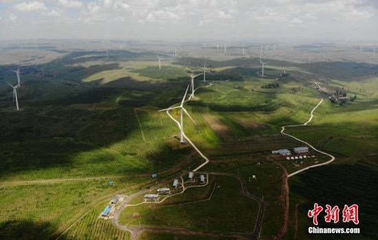 6月28日，河北張家口張北草原上大片風(fēng)力發(fā)電的“風(fēng)車”規(guī)模宏大。 中新社記者 楊艷敏 攝