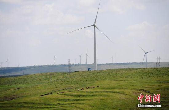 6月28日，河北張家口張北草原上大片風(fēng)力發(fā)電的“風(fēng)車”規(guī)模宏大。 中新社記者 楊艷敏 攝