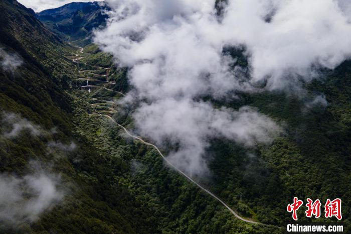 西藏山南勒布溝景區(qū)的盤山公路被云霧環(huán)繞?！〗w波 攝