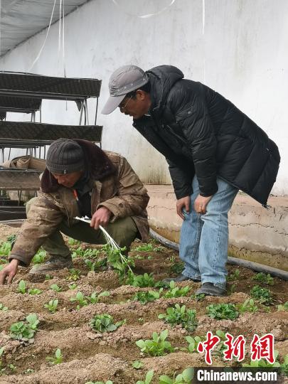 圖為尼瑪扎西(右)與西藏農(nóng)民聊天(資料圖)。西藏農(nóng)科院 供圖