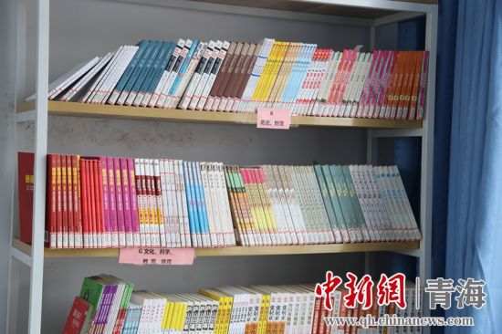 圖為“安康圖書館”項目為日月鄉(xiāng)哈城中心小學配置的圖書。張海雯攝