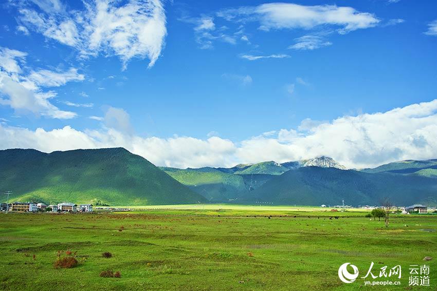 納帕海濕地風景。呂昊辰攝