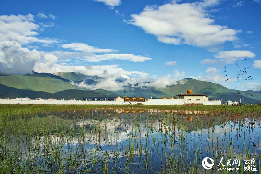 納帕海濕地風景。呂昊辰攝