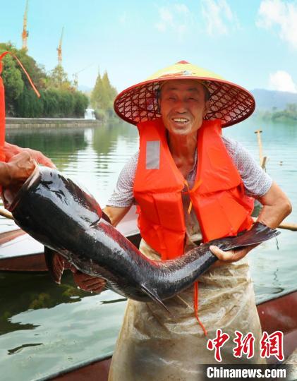 工作人員展示捕撈成果?！≈鬓k方供圖