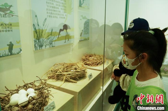 圖為小朋友在青海西寧湟水國家濕地公園科普館內(nèi)參觀學習?！●R銘言 攝