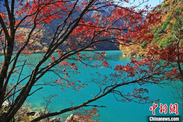 松坪溝風(fēng)光。　何清海 攝