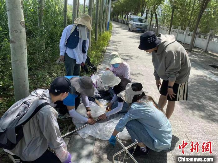 圖為科研人員正在進(jìn)行監(jiān)測(cè)?！∥鲗庝宜畤?guó)家濕地公園供圖