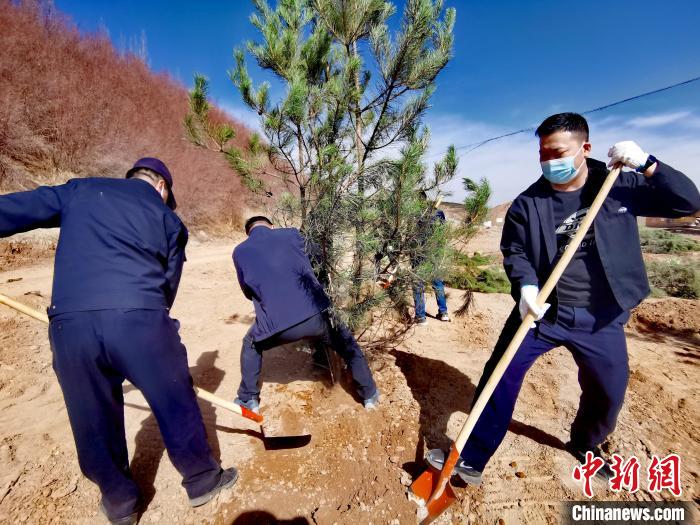 圖為西寧市城東區(qū)義務植樹活動現(xiàn)場?！?zhí)砀?攝