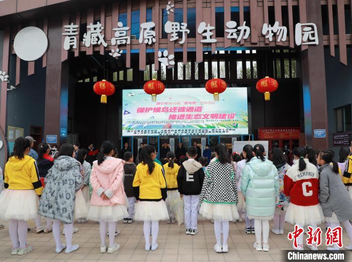 圖為青海省西寧市開展第42屆“愛鳥周”科普宣傳活動(dòng)?！●R銘言 攝