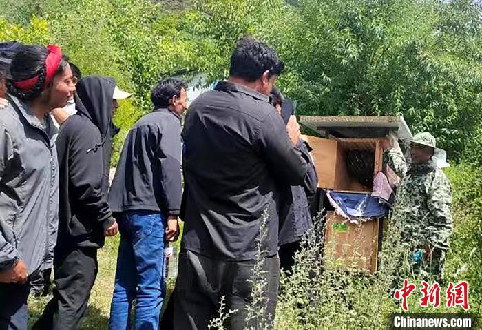 拉久西村村民學習養(yǎng)蜂工作流程和防范事項?！〔际忻⒖悼h委宣傳部供圖