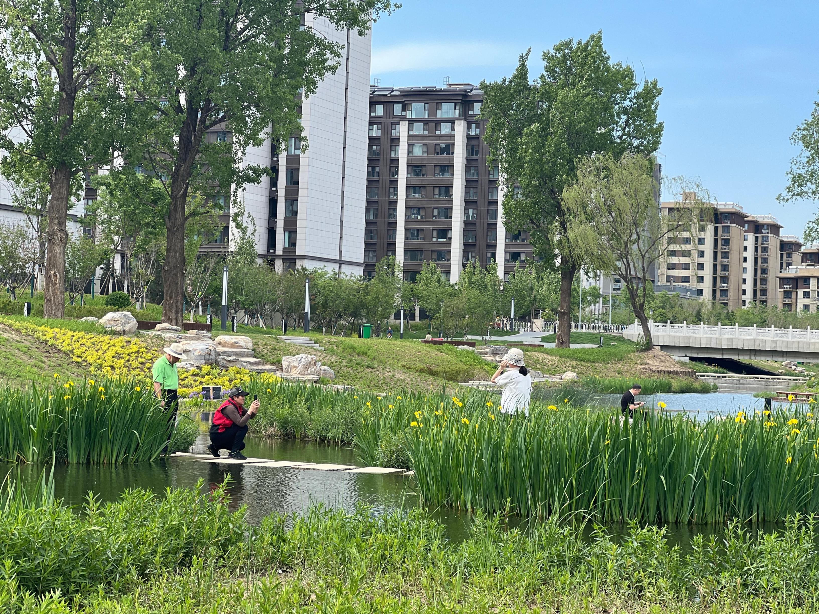 五一渠生態(tài)濱河公園內(nèi)，市民正在拍照留念。人民網(wǎng) 歐陽(yáng)易佳攝