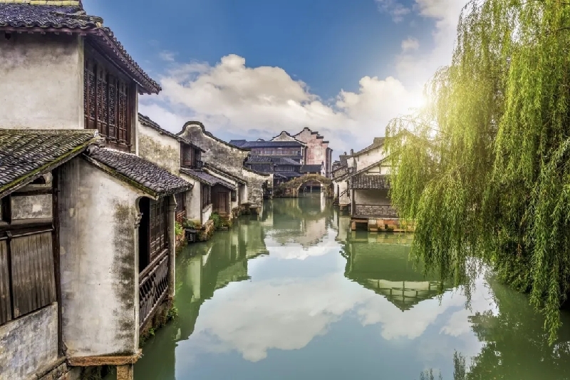 烏鎮(zhèn)動觀察｜這個字，牽起國際交流互鑒之紐帶