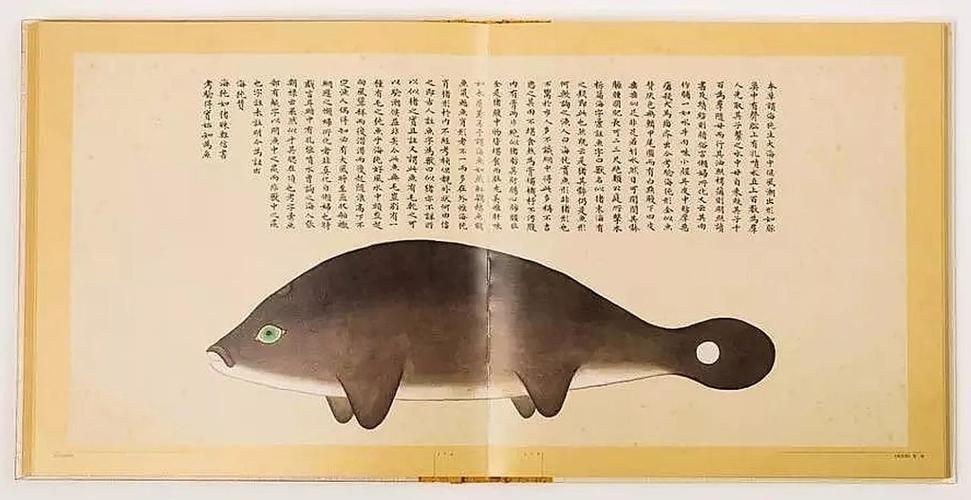 文化中國行 長江之歌丨微笑的江豚，從四千年前“游”來
