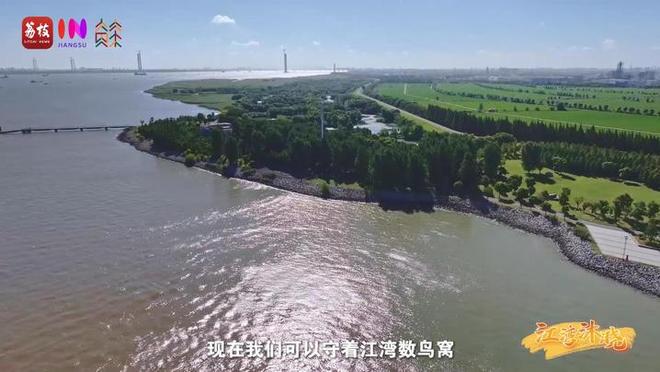 “縣”在起筆 青綠繪江山 | 江灣沐曉：褪去“銹色”走“金線”，繡出生態(tài)與產(chǎn)業(yè)“雙面錦”