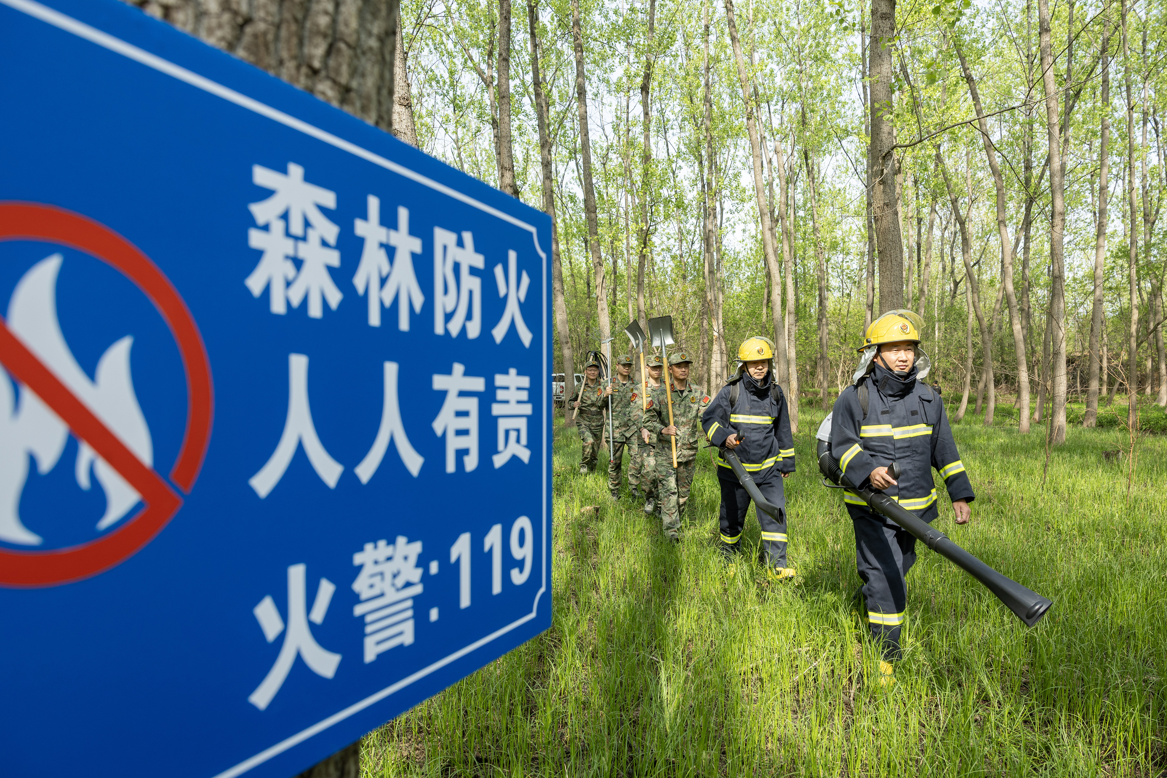 2024年4月9日，合肥市大房郢水庫水源保護(hù)地廬陽經(jīng)濟(jì)開發(fā)區(qū)段，基干民兵正在林間巡查火災(zāi)隱患。