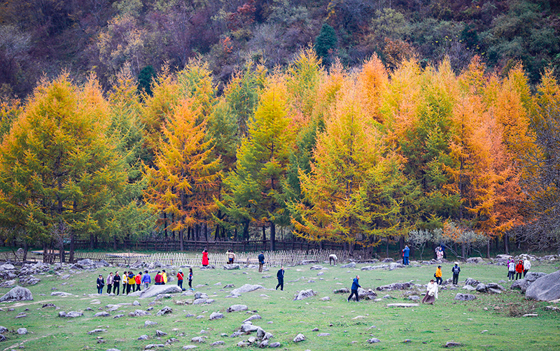2023年10月27日，深秋時節(jié)的陜西秦嶺太子嶺漫山紅黃、色彩交織，進(jìn)入最佳觀賞期。