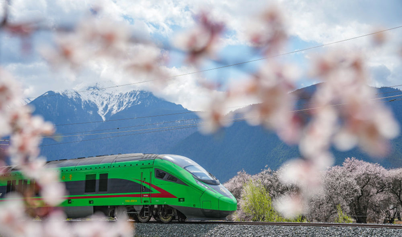 2025年4月2日，復(fù)興號列車穿行在拉林鐵路林芝段。