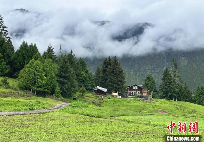 6月10日，魯朗小鎮(zhèn)高山牧場景區(qū)風光?！∪轿木?攝