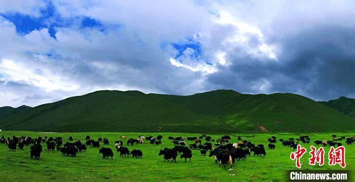 青海甘德縣成功創(chuàng)建國(guó)家級(jí)農(nóng)村產(chǎn)業(yè)融合發(fā)展示范園