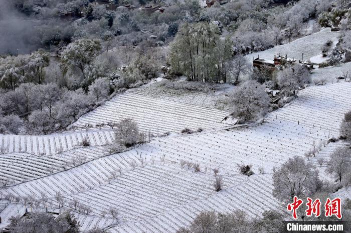 雪后的高山田間如畫。　李永安 攝