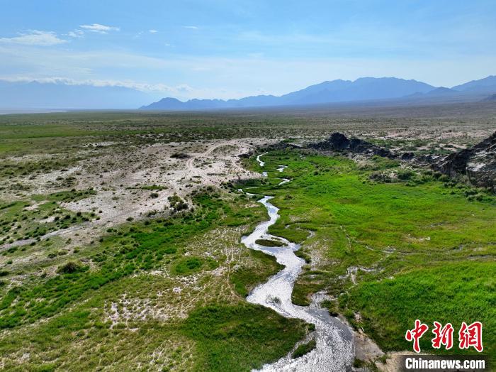 圖為航拍都蘭湖國(guó)家濕地公園綠意盎然?！∑钤鲚?攝