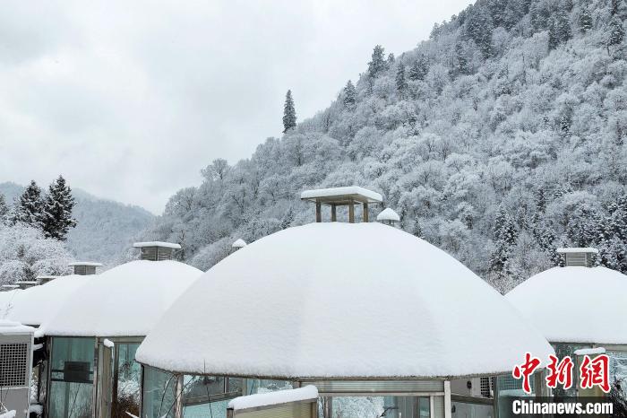 大熊貓國家公園王朗片區(qū)春雪如畫，宛若仙境?！×_春平 攝