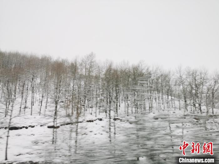 圖為青海青沙山區(qū)域被降雪覆蓋?！?zhí)砀?攝