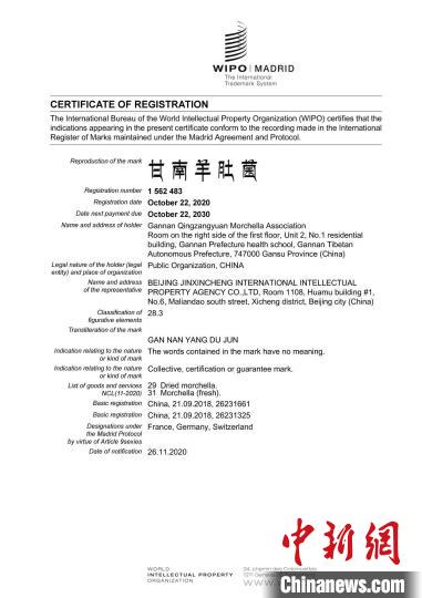圖為“甘南羊肚菌”國際商標注冊證書。(資料圖) 甘南州市場監(jiān)管局供圖