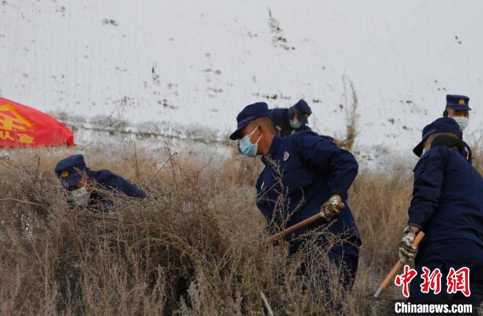 圖為200余名消防員在布達(dá)拉宮后山集合除草?！≮w朗 攝