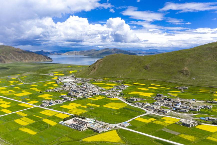 航拍道布龍村，依山傍水，阡陌縱橫。