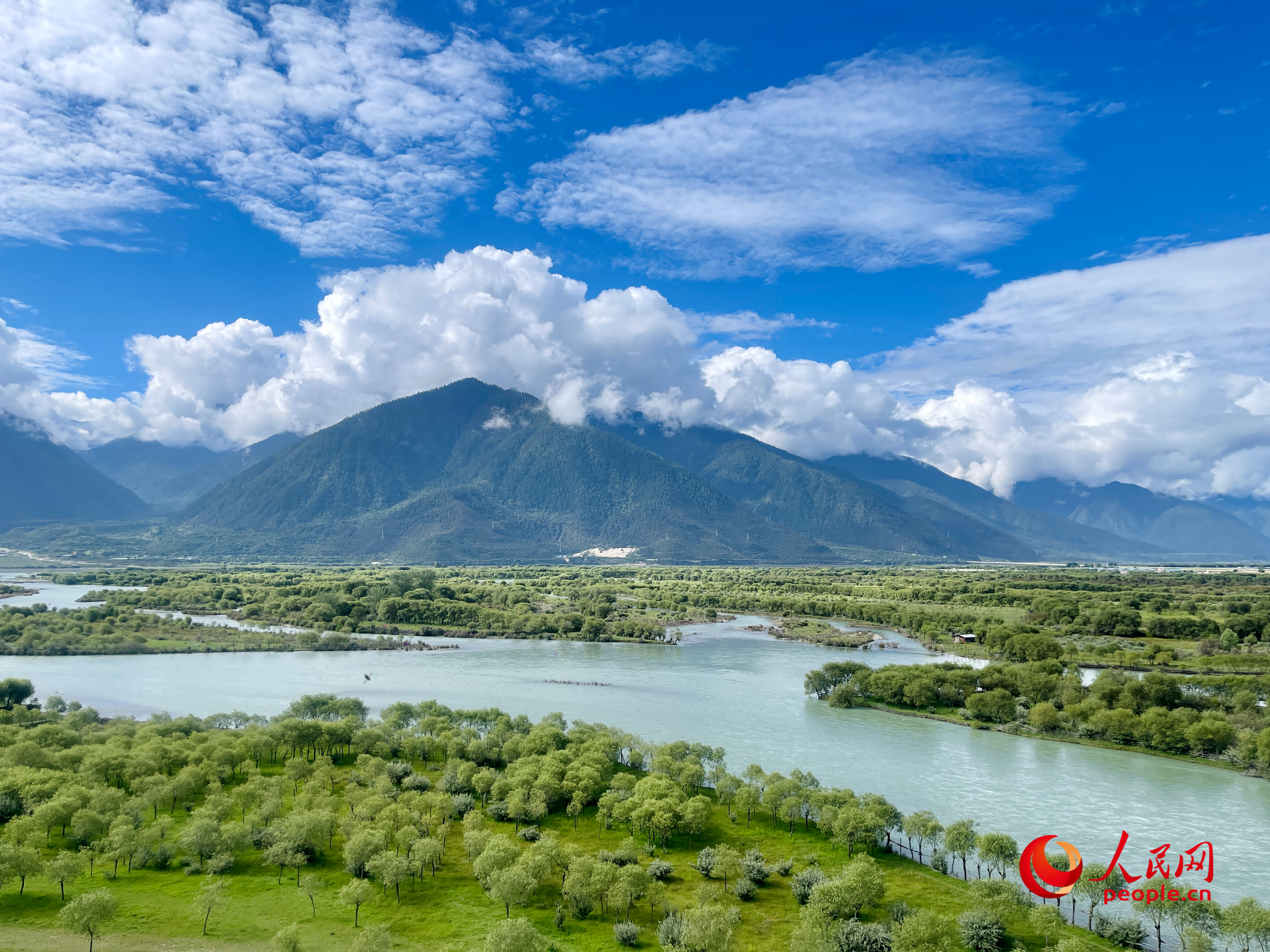 夏日的雅尼國家濕地公園生機盎然，如詩如畫。人民網(wǎng) 周靜圓攝