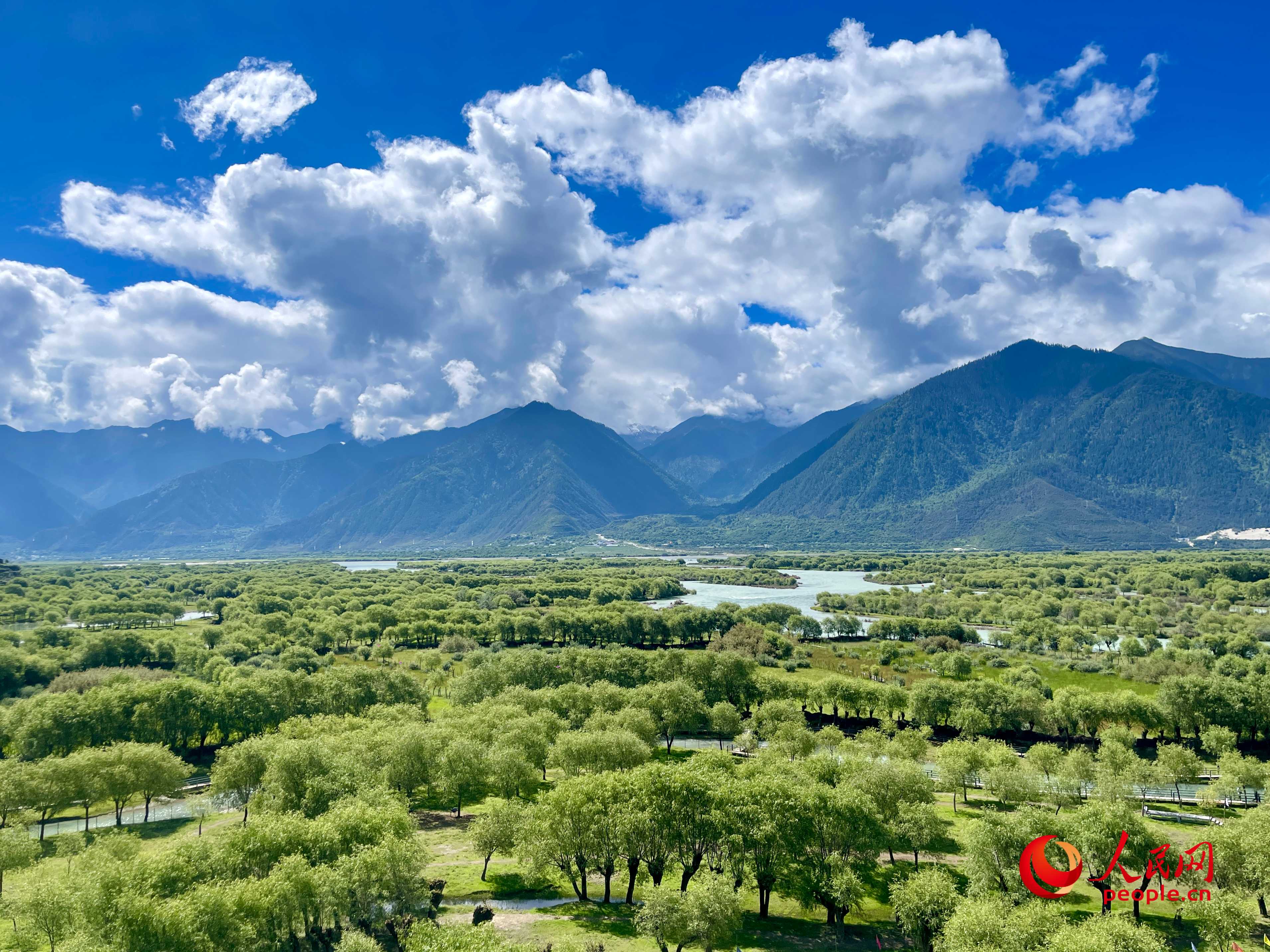 夏日的雅尼國家濕地公園生機盎然，如詩如畫。人民網(wǎng) 周靜圓攝