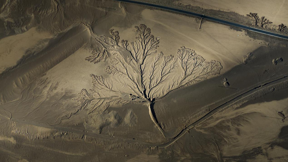 無(wú)人機(jī)視角下的西藏阿里地區(qū)改則縣“大地之樹”景觀。尼瑪多吉攝